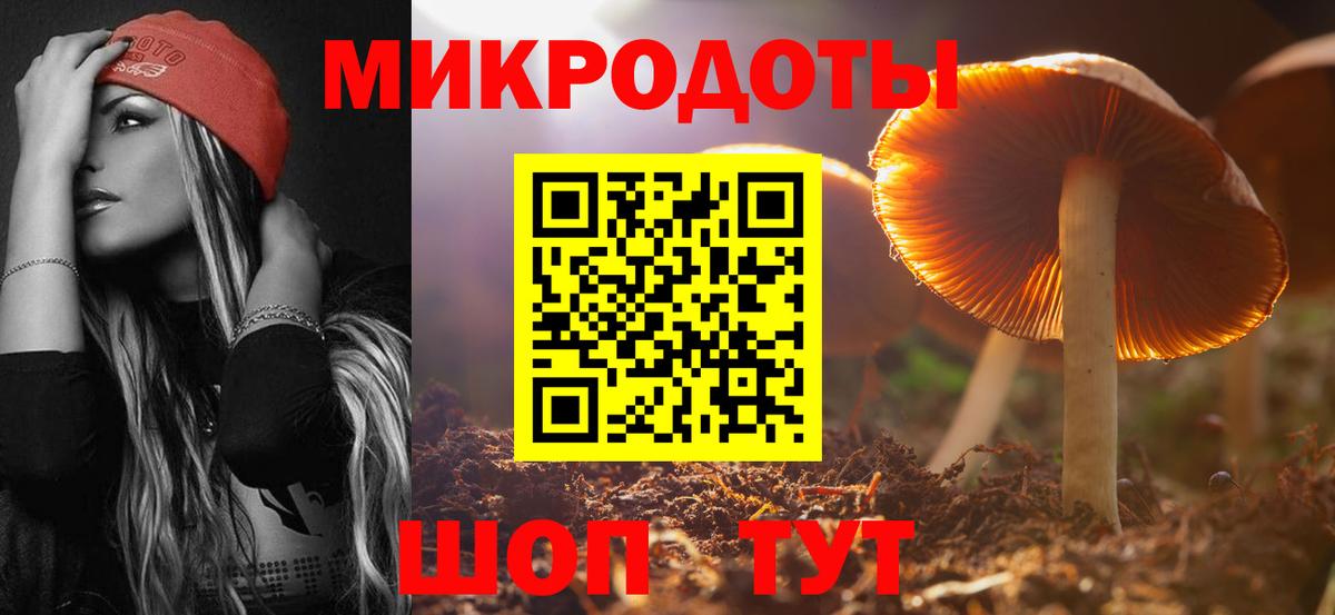 Псилоцибиновые грибы Psilocybine cubensis Элиста